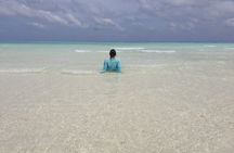 Sandbank Snorkeling and Sunset Cruise