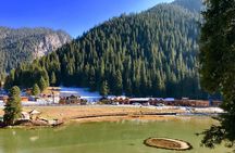 Private Day Tour to Nanshan Pasture and Tianshan Grand Canyon