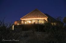 Full-Day Big 5 Safari from Hazyview