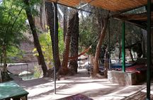 High Atlas Mountains And The Local old Market Private Day Tour