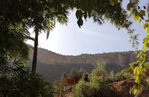 High Atlas Mountains And The Local old Market Private Day Tour