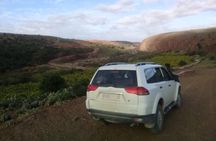 Desert and Ocean Private Day Tour