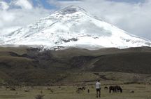 9-Days Exploring the Andes