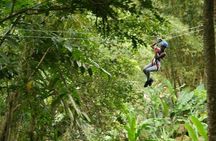 Treetop Adventure Park Canopy Tour