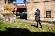 Santillana del Mar & Altamira Museum with tickets- small groups