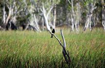 ETHICAL ADVENTURES - 1 Day premium Litchfield tour, Max 10 guests