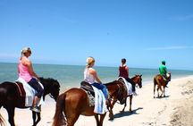 Heritage Beach Horseback Riding Tour