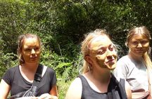 3 Hours Small-Group Horseback Riding Experience in Baños
