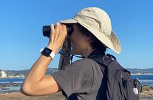 Small-Group Half-Day Birdwatching Tour in Sydney