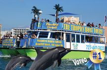 Guaranteed Dolphin Sighting Tour on Tropics Boat Tours