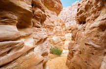 4x4 Jeep Adventure from Dahab