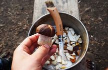 Mushroom Hunting in a National Park