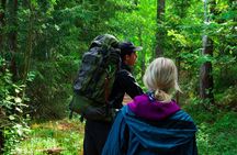 Berry Picking in a National Park