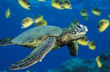 Private Full-Day Catamaran Sailing Charter in St Maarten