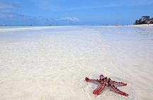 Marine turtules tour & kendwa beach relaxation