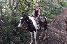 5-Hour Small-Group Horseback Riding Experience in Baños