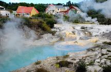 Rotorua Geothermal Living Maori Village Tour Whakarewarewa 6.5hours Tour