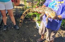 Afro-Mex Village Experience -Horseback Ride -Turtle Hatch & Crocs