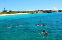 Tropical Catamaran Snorkeling & Sailing