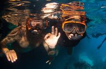 Snorkel Shore Trip with Scubaçao "East Point"