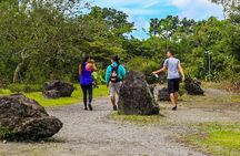 Arenal Volcano Guided Hike, Hot Springs Optional