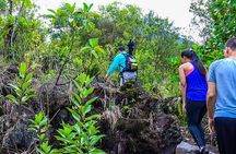 Arenal Volcano Guided Hike, Hot Springs Optional