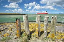 e-Scavenger hunt Terneuzen: Explore the city at your own pace