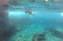 Marietas Islands Eco Discovery Snorkeling Adventure
