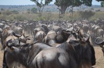 4 Days Tanzania Lodge Safari With Two Nights at Serengeti