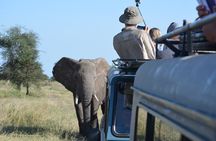 4 Days Tanzania Lodge Safari With Two Nights at Serengeti