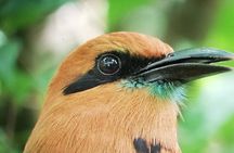 Full Day tour of the Arenal Volcano from La Fortuna