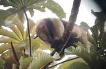 Full Day tour of the Arenal Volcano from La Fortuna