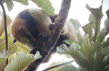 Full Day tour of the Arenal Volcano from La Fortuna