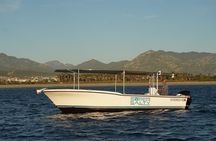 San Jose del Cabo Small-Group Sunrise Whale Watching