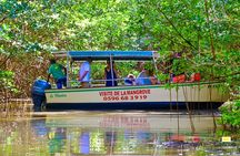 Mangrove Guided Tour
