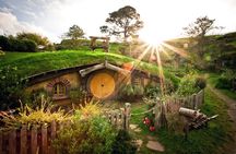 Hobbiton Movie Set Tour from Tauranga 5.5 to 6 hours CTT-17 - TRG-17