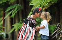 Rotorua Discovery Te Puia Tour