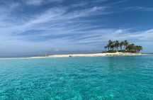 View the Turtles, Rose Island, Gilligan's Island and Fishing Tour