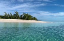 View the Turtles, Rose Island, Gilligan's Island and Fishing Tour