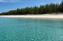 View the Turtles, Rose Island, Gilligan's Island and Fishing Tour