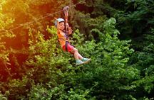 Arenal Canopy Adventure & Tarzan Swing