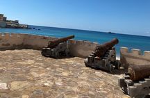 Private Full-Day East Oman Tour from Salalah with Lunch