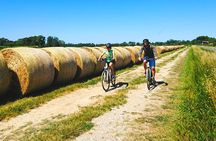 Pisa tour by bike : The Road To The Sea