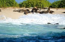 Galapagos- Santa Cruz Explorer 4 days 
