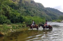 Caballos y Aguas Termales