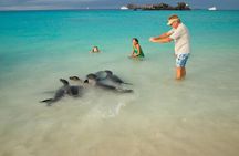 Galapagos- Santa Cruz Explorer 4 days 