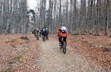 Olympus Mountain Biking - Rides tailored to you