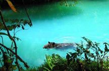 Private Full Day Celeste River Hiking Experience with Lunch