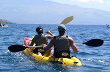 Paddle, Snorkel and Learn to Surf: All in a Day on Maui