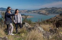 Christchurch Sightseeing Pass